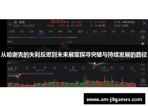 从哈谢克的失利反思到未来展望探寻突破与持续发展的路径