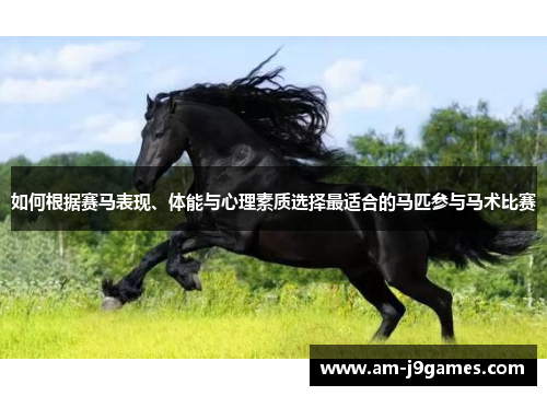 如何根据赛马表现、体能与心理素质选择最适合的马匹参与马术比赛 如何根据赛马表现、体能与心理素质选择最适合的马匹参与马术比赛