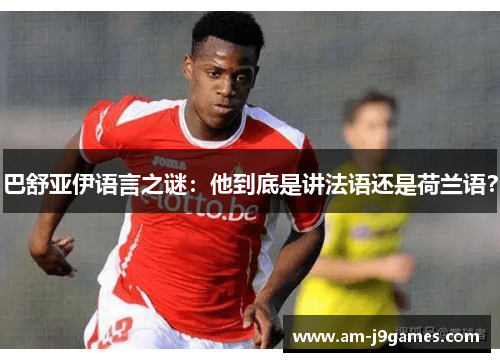 巴舒亚伊语言之谜:他到底是讲法语还是荷兰语? 巴舒亚伊语言之谜:他到底是讲法语还是荷兰语?