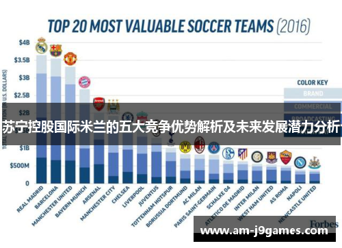 苏宁控股国际米兰的五大竞争优势解析及未来发展潜力分析 苏宁控股国际米兰的五大竞争优势解析及未来发展潜力分析